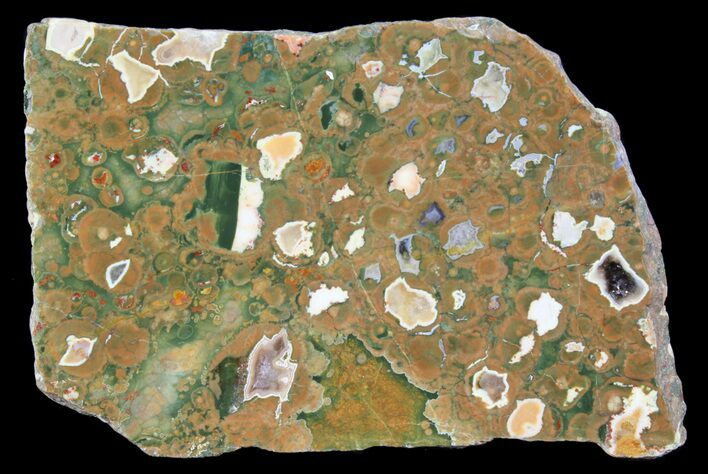 Polished Rainforest Jasper (Rhyolite) Slab - Australia #65350